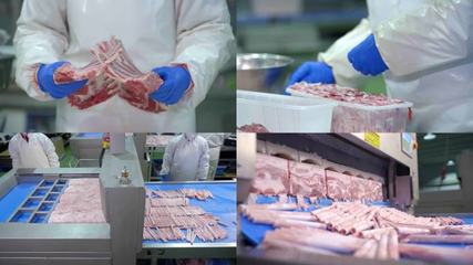 肉类加工食品安全肉类加工食品安全