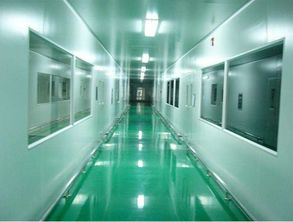 医用净化工程公司 洁净工程 净化车间设计施工 湖南净化公司