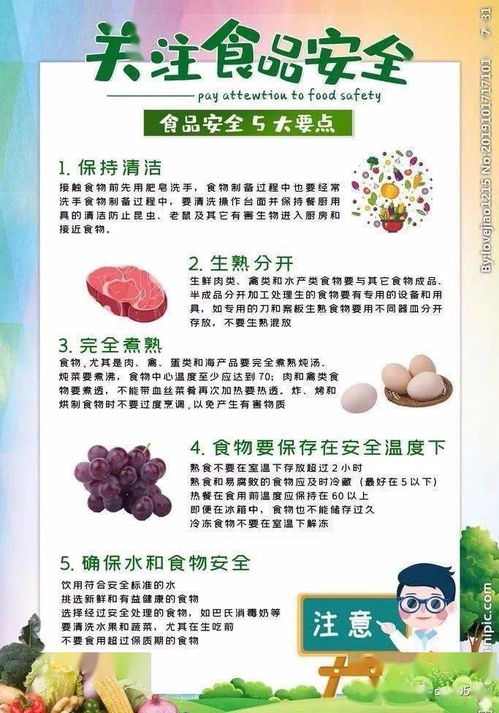 关注食品安全，从我做起