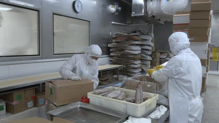 内外双循环驱动，烤鳗香飘全球——武夷山企业以“三争”行动引领5亿产值新赛道