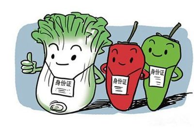 物联网时代 科技改革助力食品安全