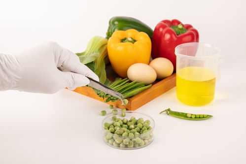 豌豆的守护者 农业科技与食品安全绘就舌尖上的未来