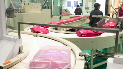 透明与品质的承诺 玫斯开放南通现代化工厂，展现宠物食品安全新标杆